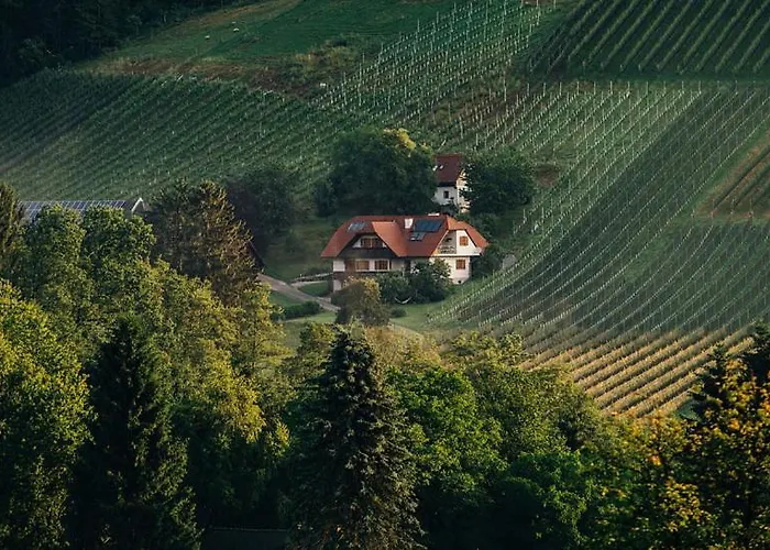 Direkt Am Weingut Garber *